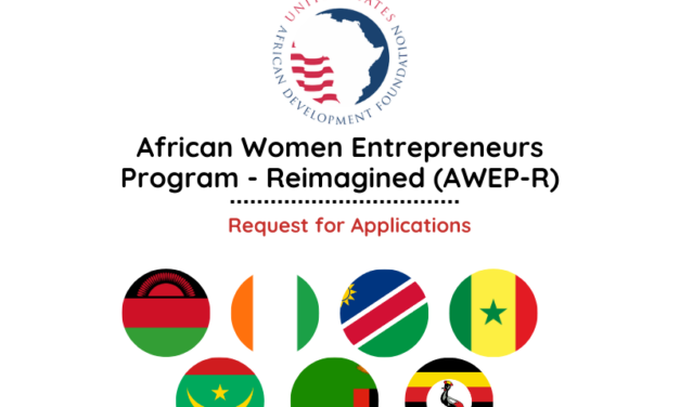 2024 African Women Entrepreneurs Program – Apply Now