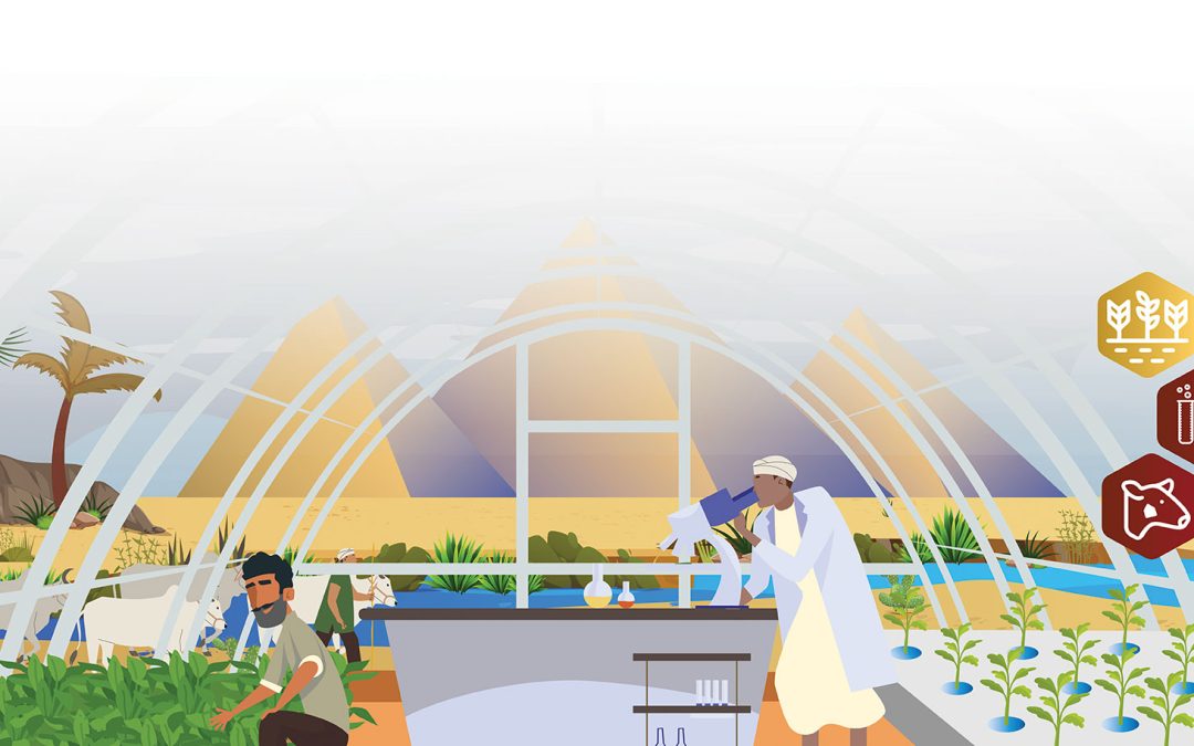 Early Stage Ventures | AgriTech4Egypt Innovation Challenge 2024