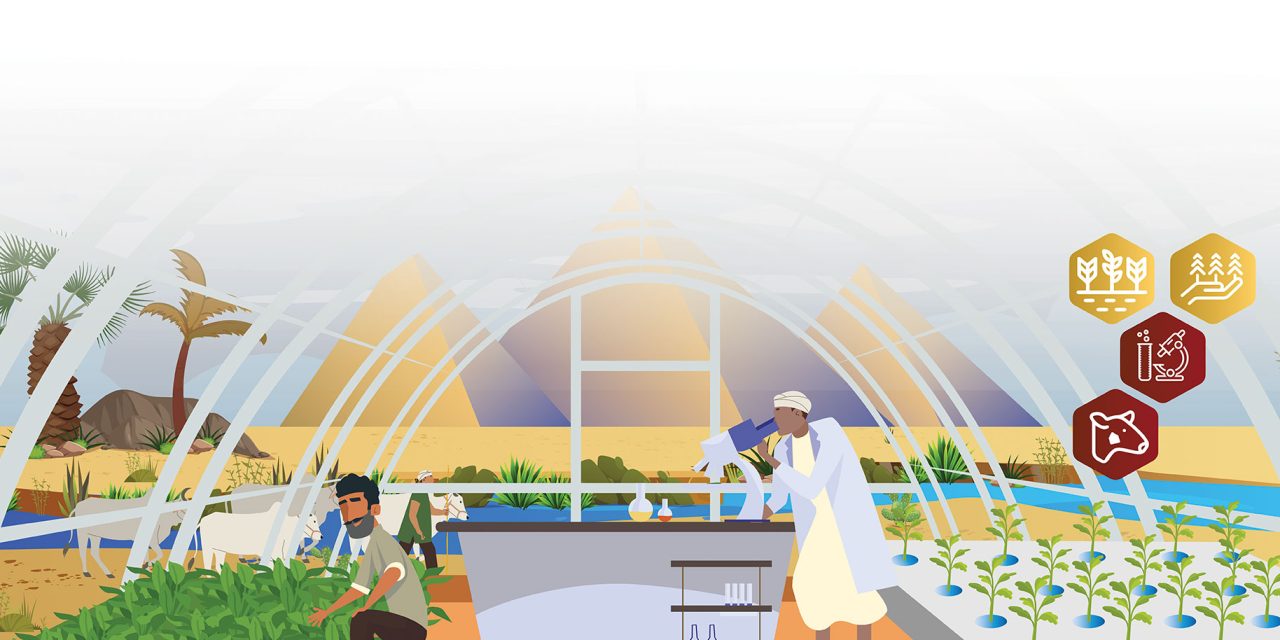 Early Stage Ventures | AgriTech4Egypt Innovation Challenge 2024