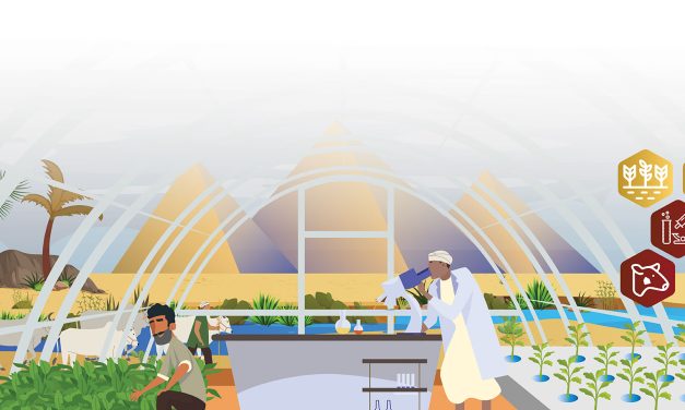 Early Stage Ventures | AgriTech4Egypt Innovation Challenge 2024