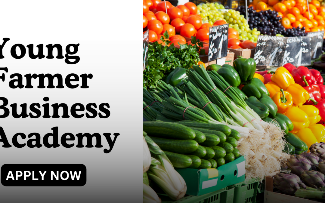 Young Farmer Business Academy (YFBA) 2024 | Apply Now