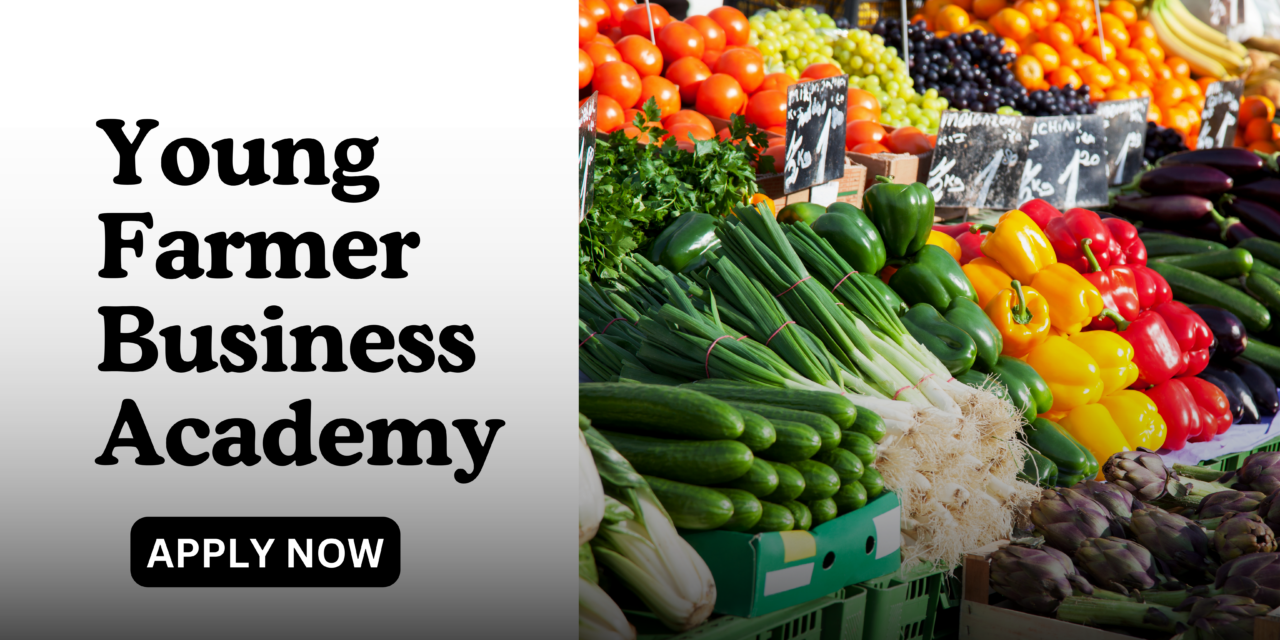 Young Farmer Business Academy (YFBA) 2024 | Apply Now
