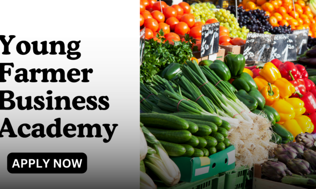 Young Farmer Business Academy (YFBA) 2024 | Apply Now